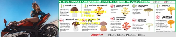 каннабис Бородино