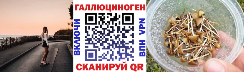 Галлюциногенные грибы GOLDEN TEACHER  Дальнегорск 